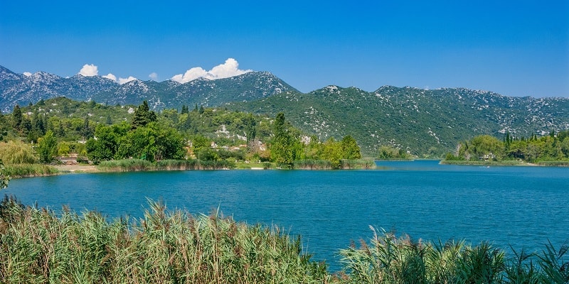 Baćina-tavak - Dalmácia