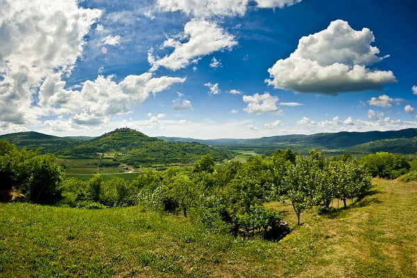 Motovun erdő, Horvátország
