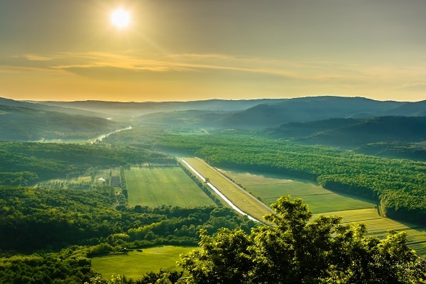 Motovun erdő, Horvátország