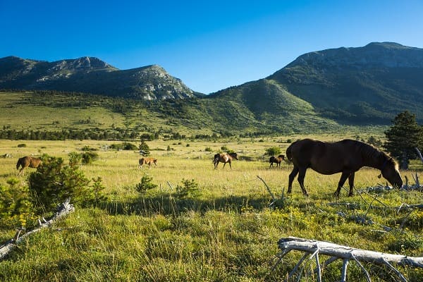 Velebit Természeti Park, Horvátország