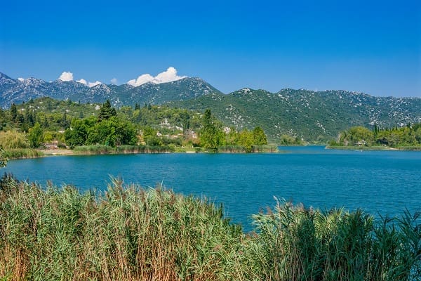 Baćina-tavak, Horvátország